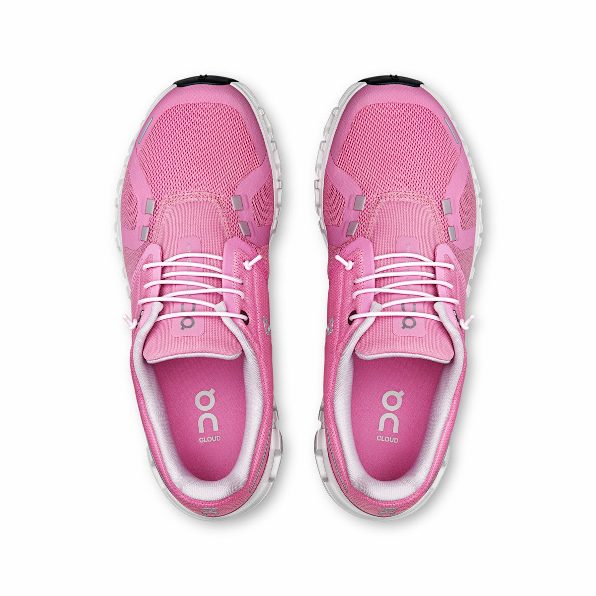 Women's Cloud 6 - Raspberry/White | On United States