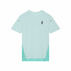 Flurry/Aquamarine